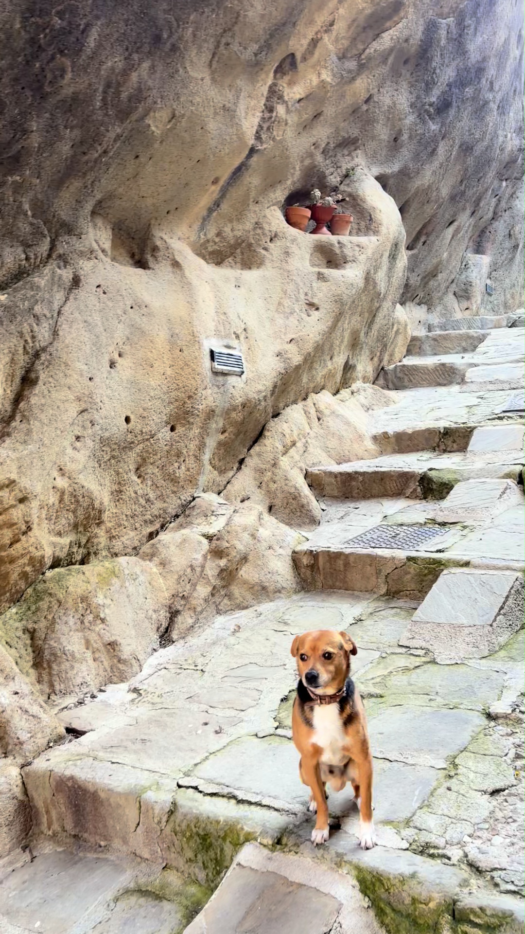 Walking the old streets of Castelmezzano with the guide.